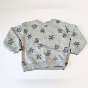 Zara Toddler Sweatshirt